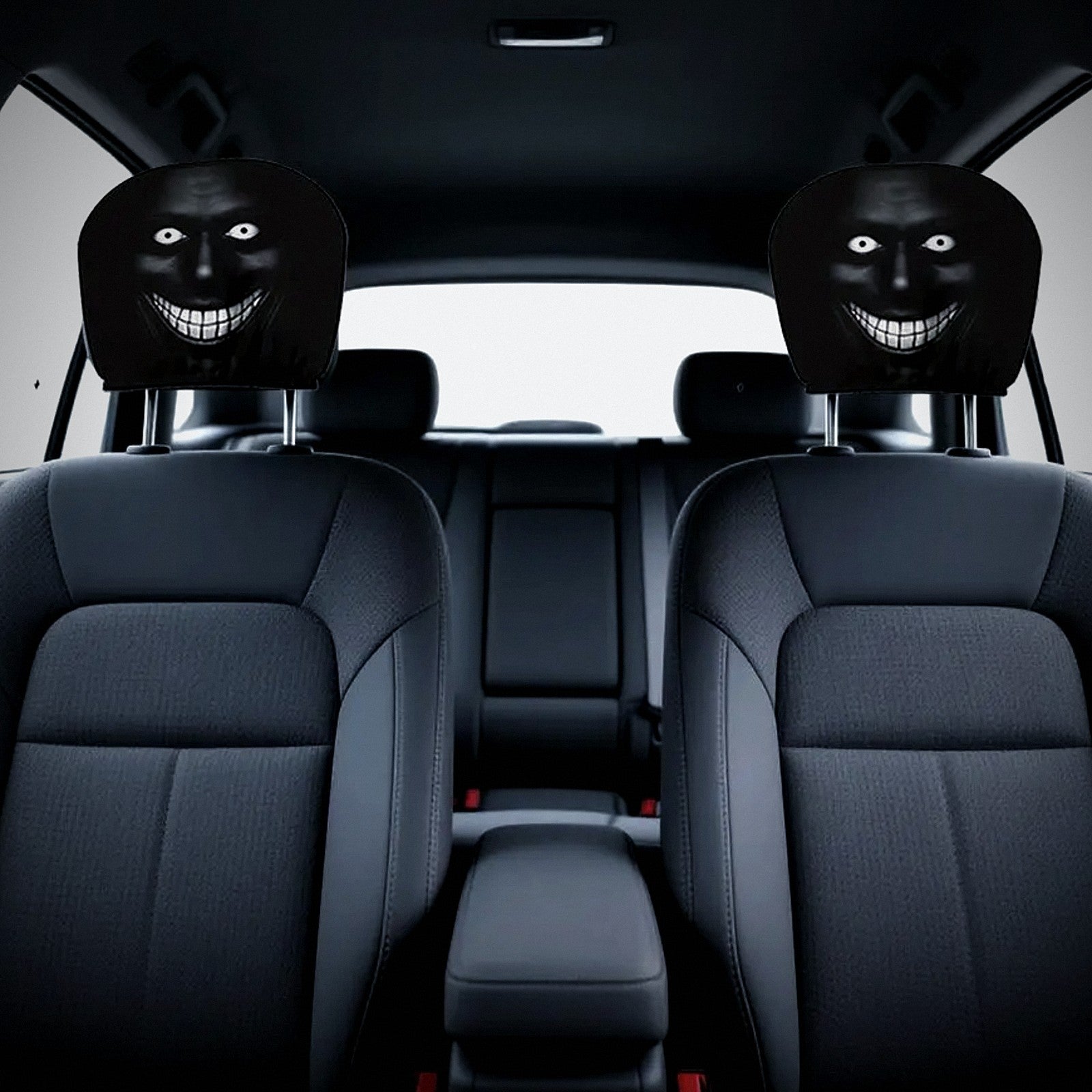 The Smiler covers on both front headrests, seen from the back seat